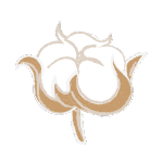Cotton