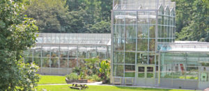 Verdesian-Greenhouse-Home-Page-Image