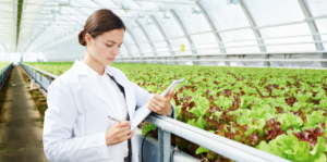 Verdesian-Life-Sciences-Advances-Research-in-Grower-NUE-Technology-Solutions