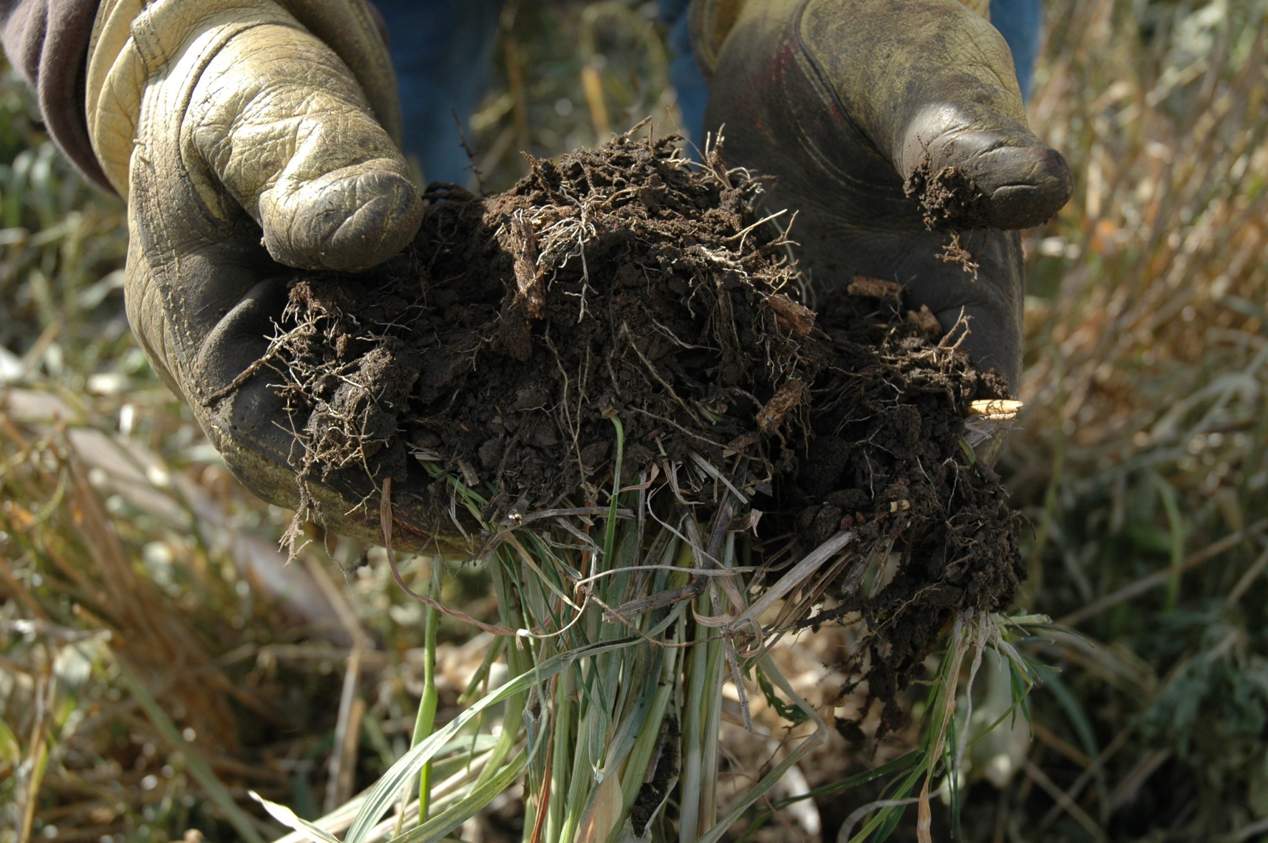 Investing in Soil Health Pays