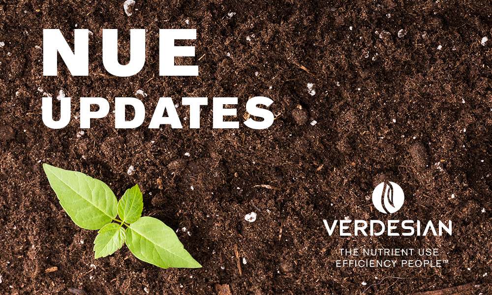 NUE Update – 4R Practices of Fertilizer Management in Potatoes