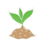 Nursery Ornamentals