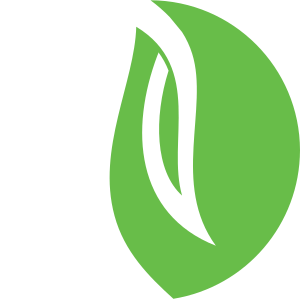 Verdesian-logo