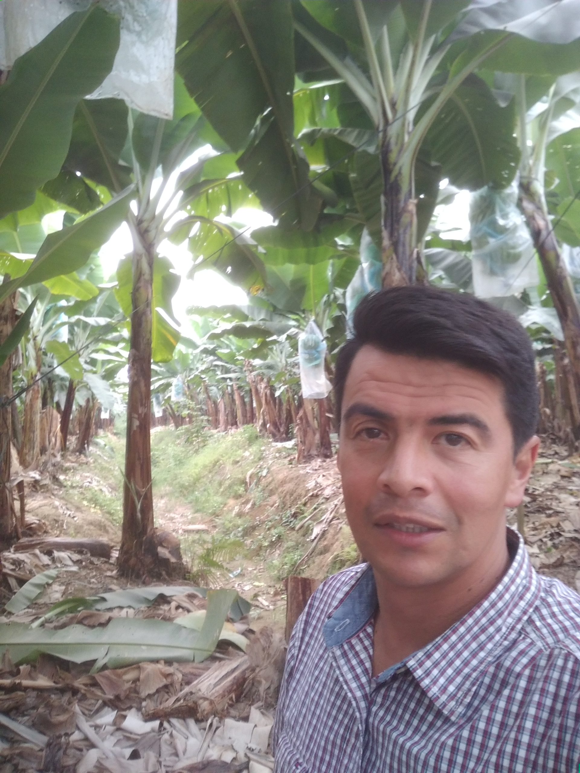 Meet the Nutrient Use Efficiency People™: Fernando Moreno