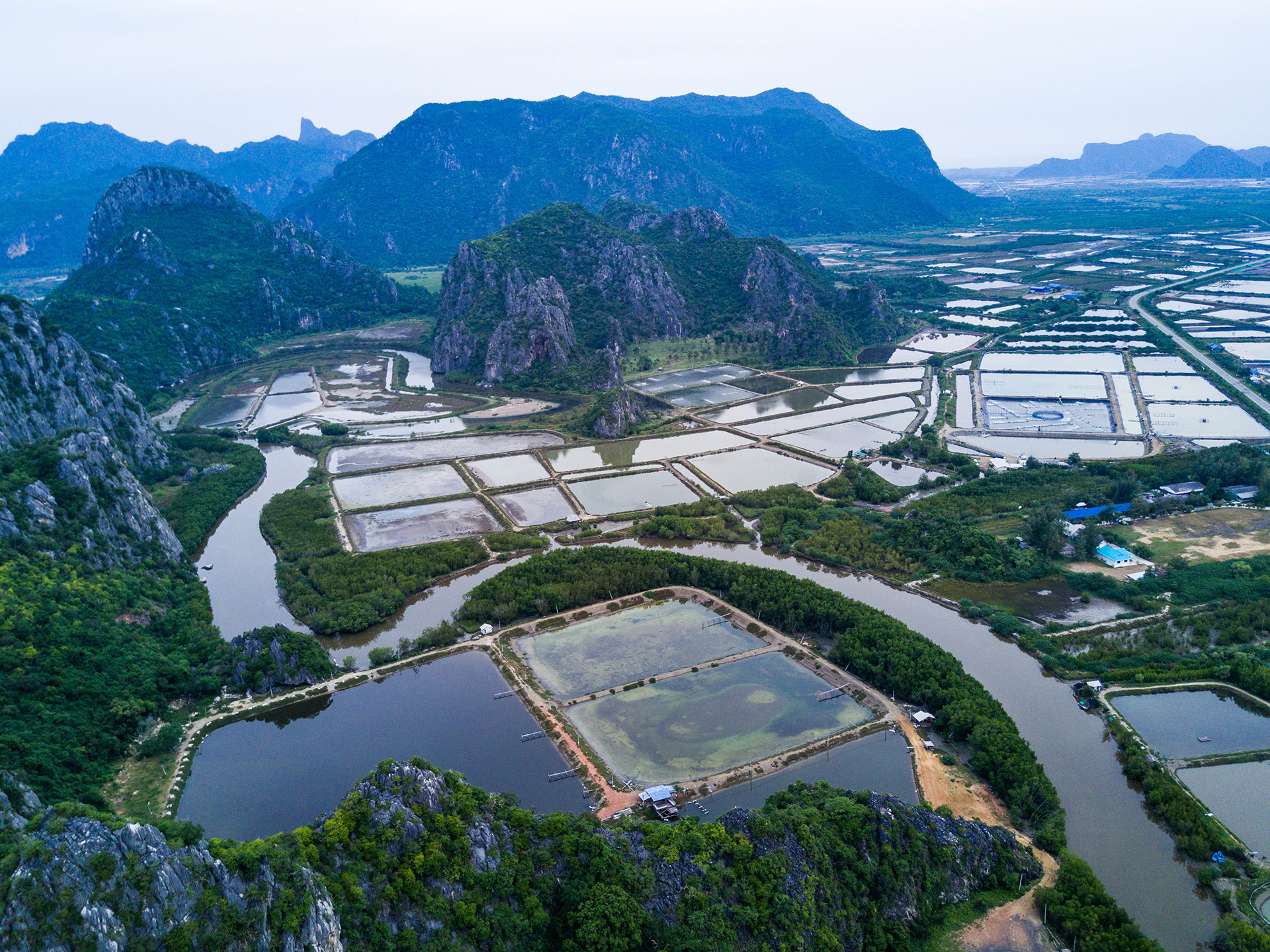 Shrimp farms from above in Sam Roi Yot National Park, Thailand. drone, aerial view, top view