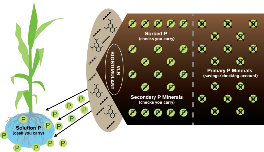 phree-up-nutrient-use-efficiency-approach-to-phosphorus-verdesian